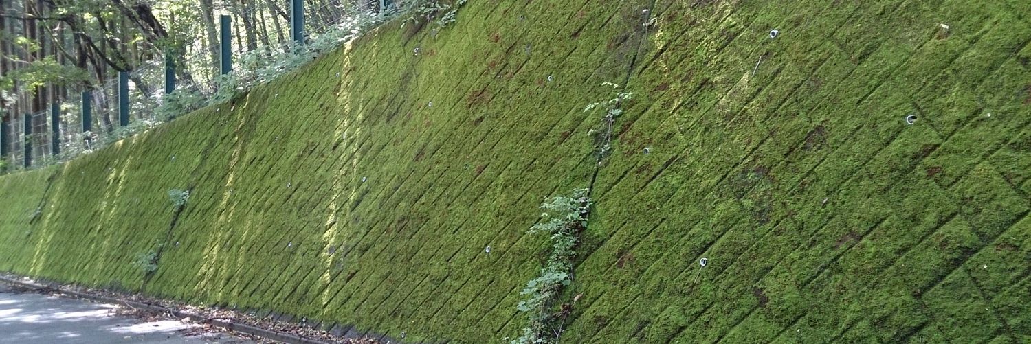 redpointonsight's profile banner image
