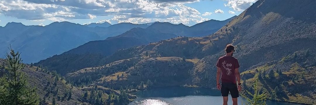 Matteo Castaldo banner