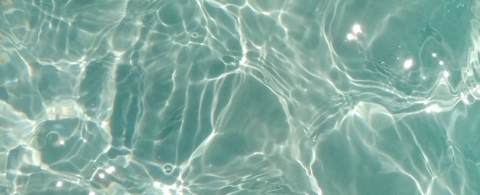 sarahmarquesf's profile banner image