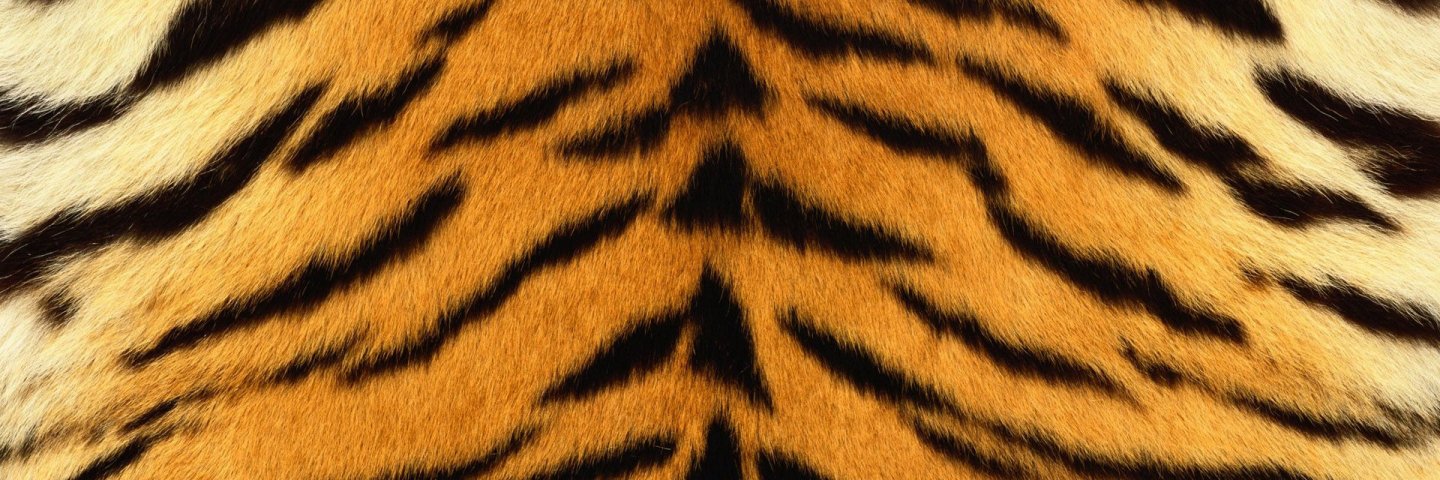 HungryTigerPDX's profile banner image