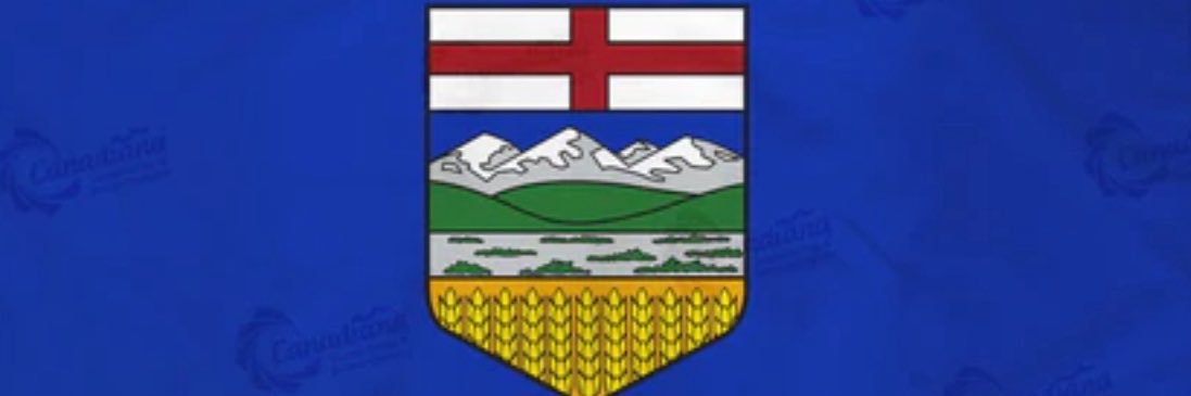 Rob the Pilot banner