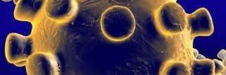 Coronavirus banner
