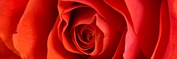 AimeeR2022 Profile Banner