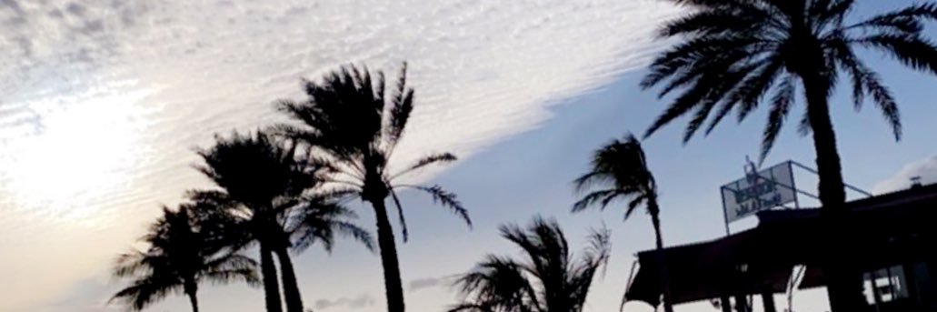 ta1185's profile banner image