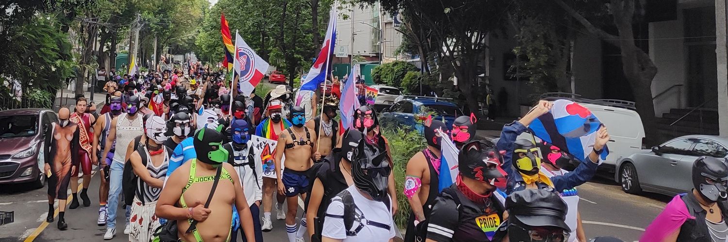 Milo PussyBoy banner