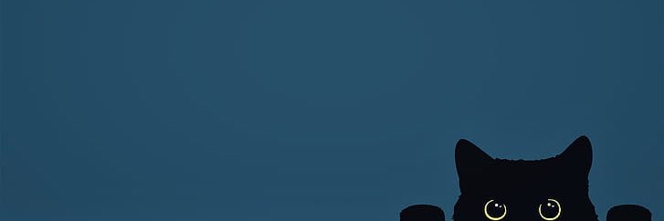 Amanda Calderon banner