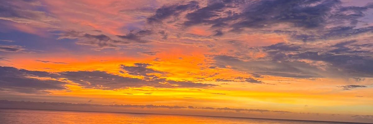 LauraVllrrl's profile banner image