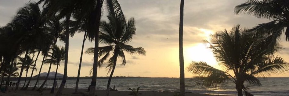danielaac31's profile banner image