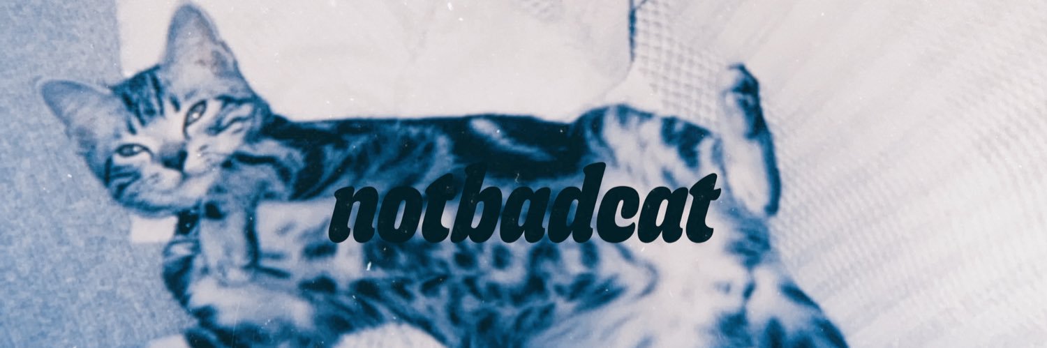 NOTBADCAT_NBC's profile banner image