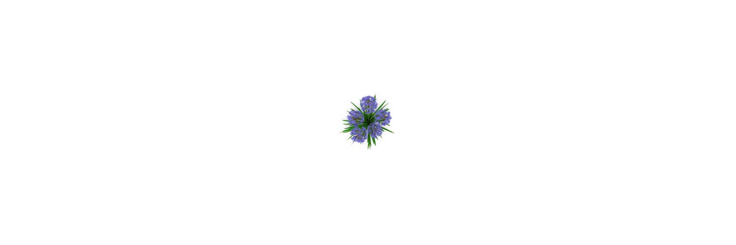 Maggiemcdavid1's profile banner image