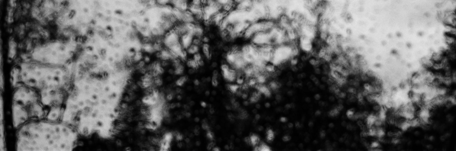 Lennin0z's profile banner image