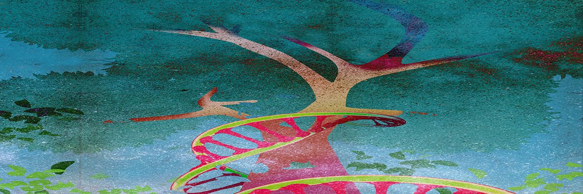 KLHParkerWriter's profile banner image
