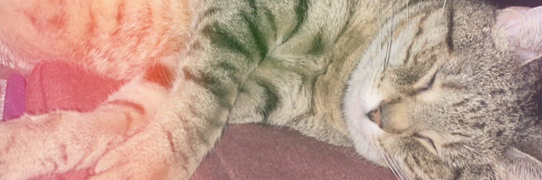 tammmzz's profile banner image