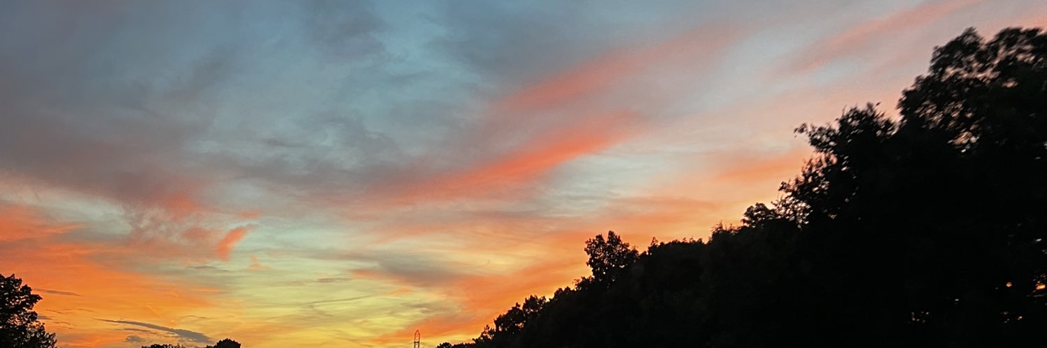 skylaralaina_'s profile banner image