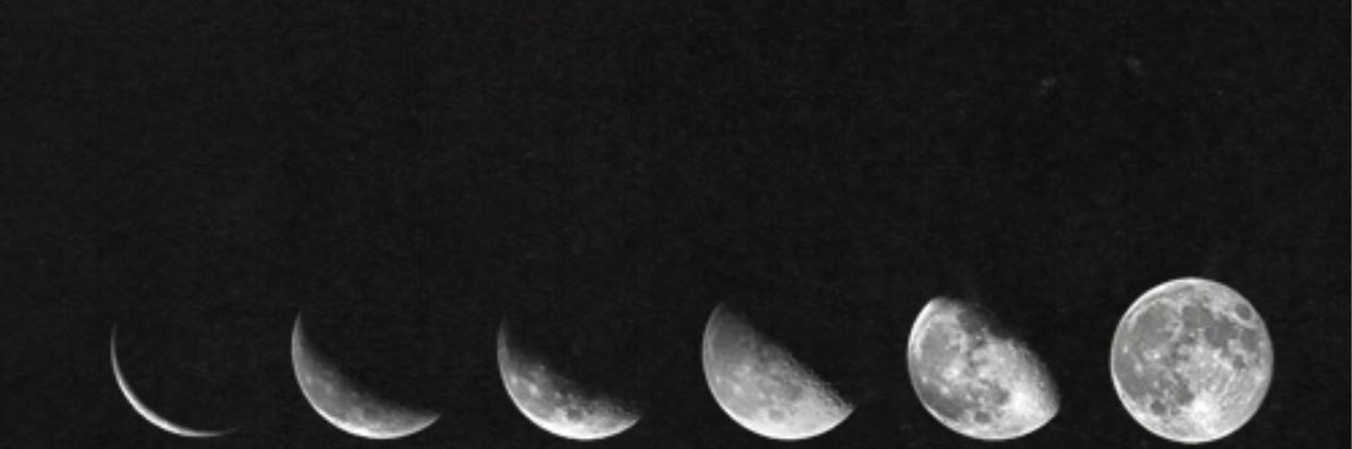 Lydiawilt's profile banner image