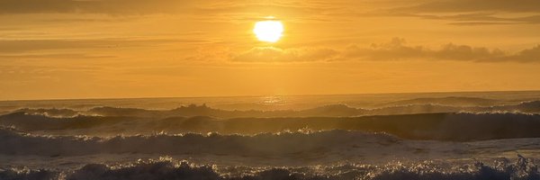 akarpenko Profile Banner