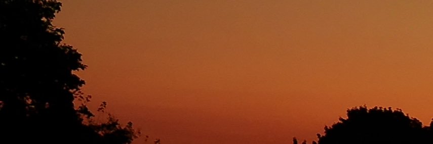 maddsswithluv's profile banner image