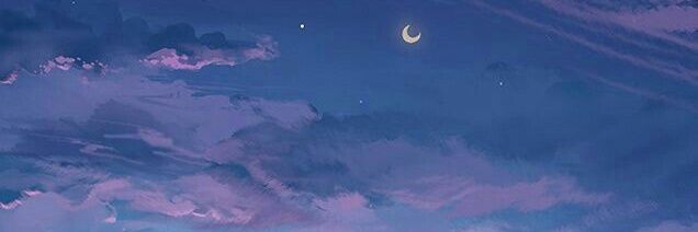 ✩•*˚・❃ s' banner