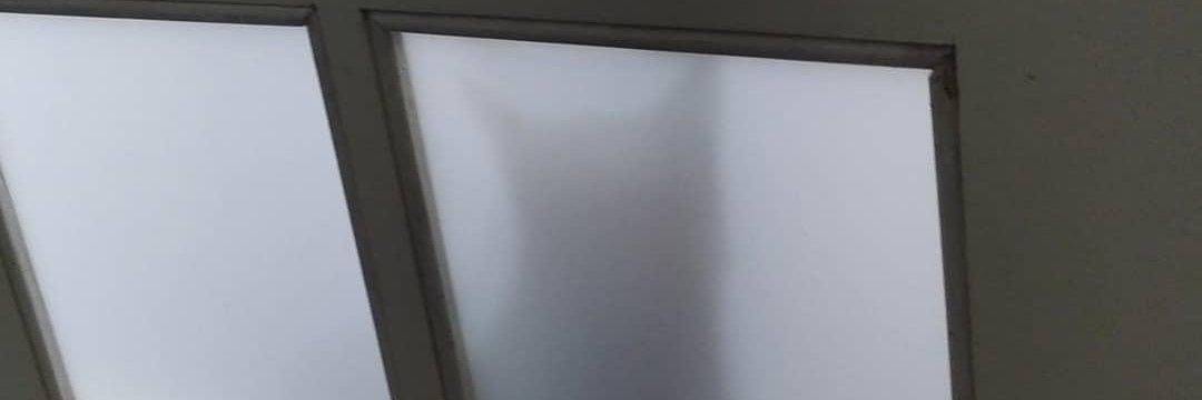 theoo_a's profile banner image