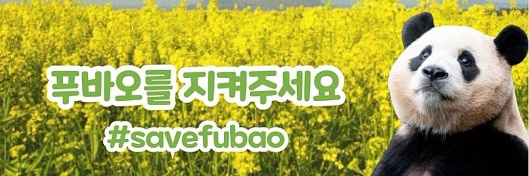 alicej282's profile banner image