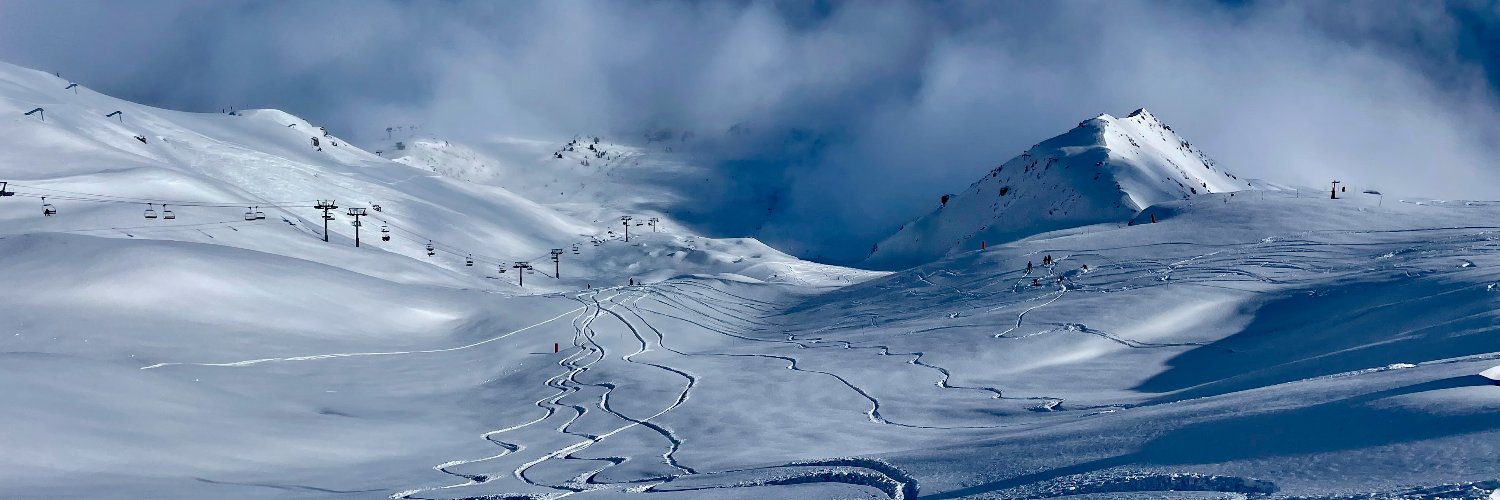 Ross Feinstein banner