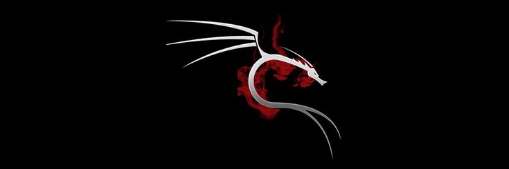 __Iverse's profile banner image