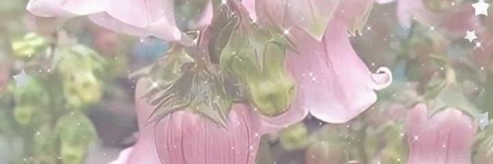 VKusabe's profile banner image