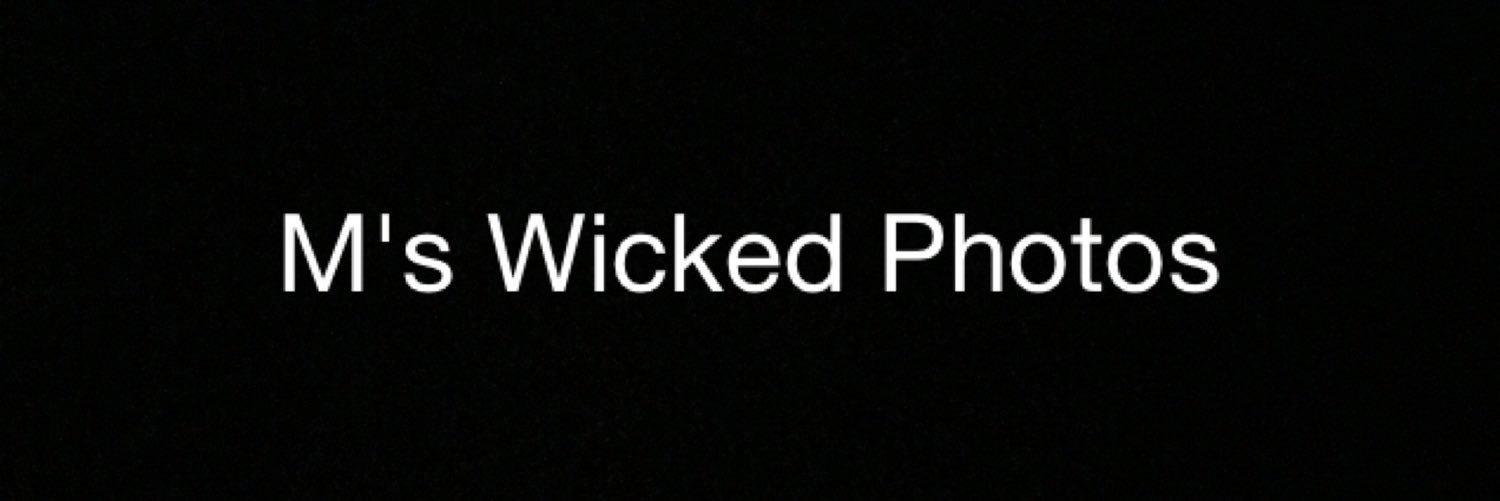 mudwok's profile banner image