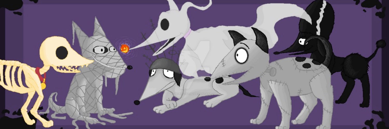 MozMonQ's profile banner image