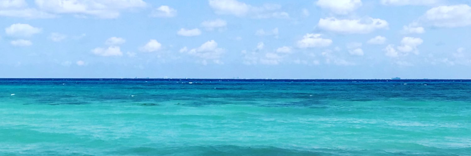 abietoiber's profile banner image