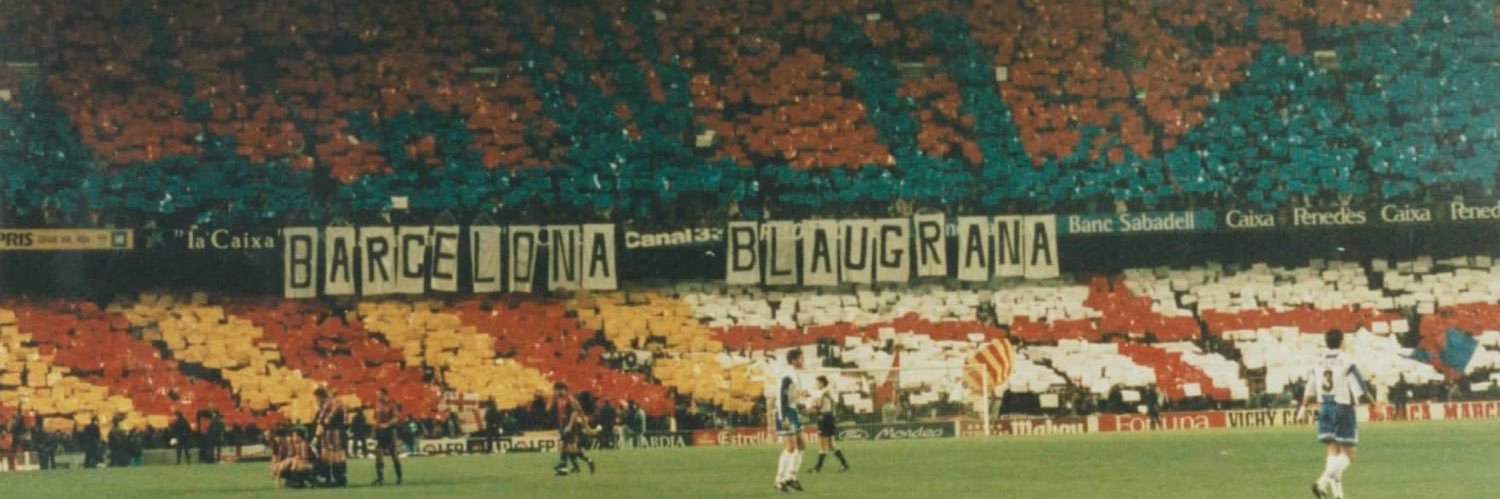 Bochi banner