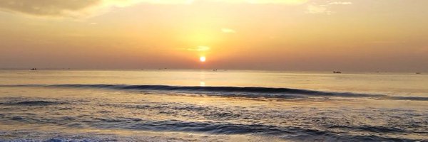 ShivanjaliGore Profile Banner