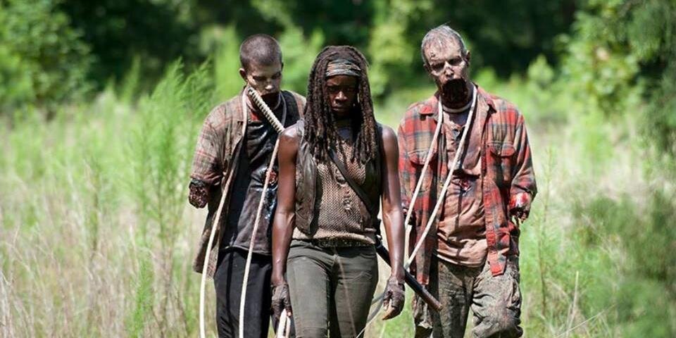 Michonne1TWD's profile banner image