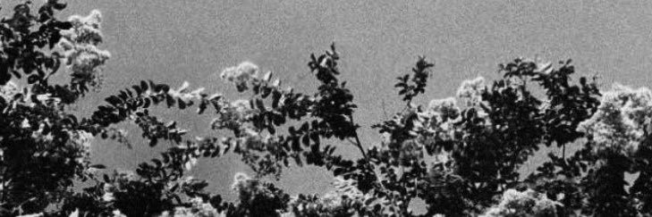 wookci_'s profile banner image