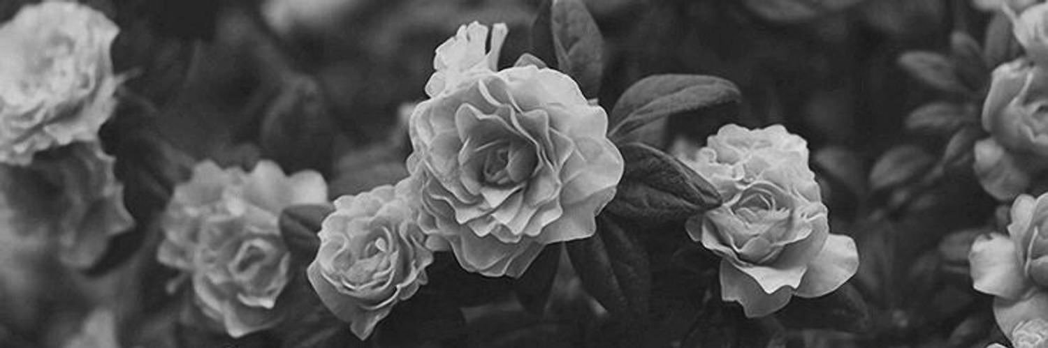 csbxo's profile banner image