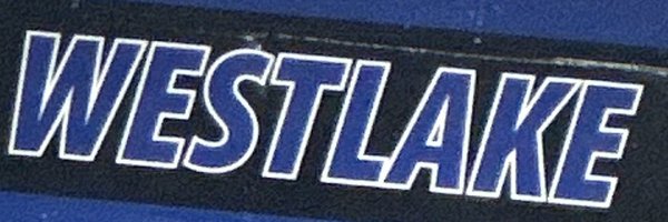 2RoyalWalker Profile Banner