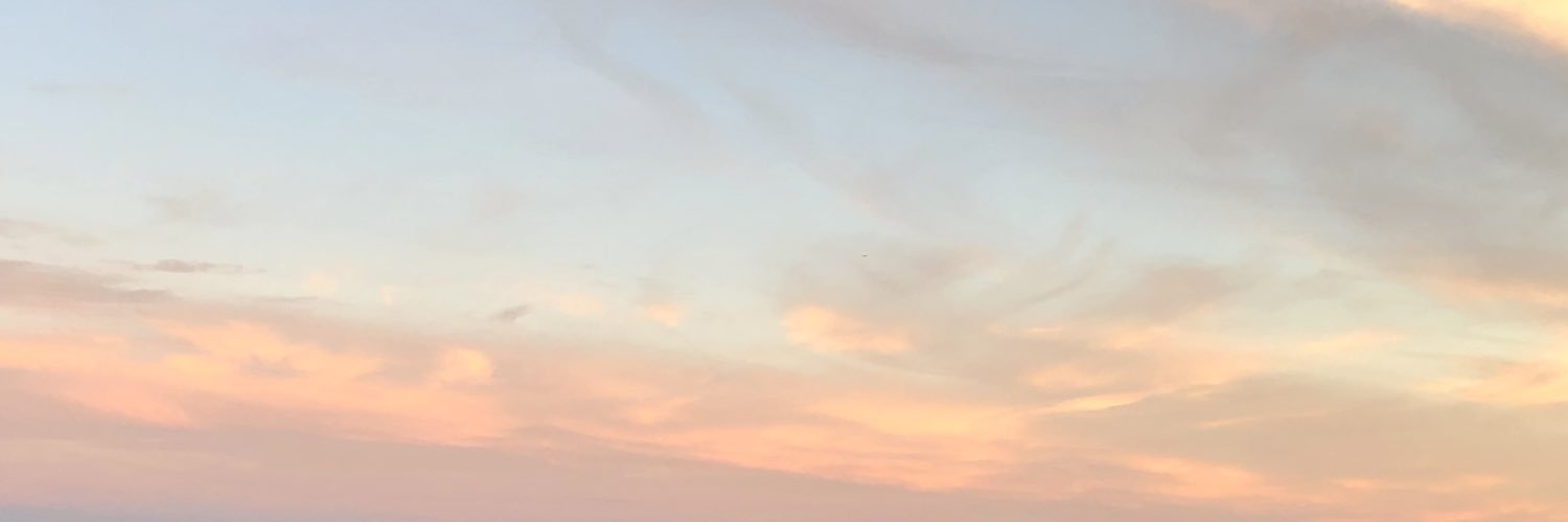les_not_less's profile banner image