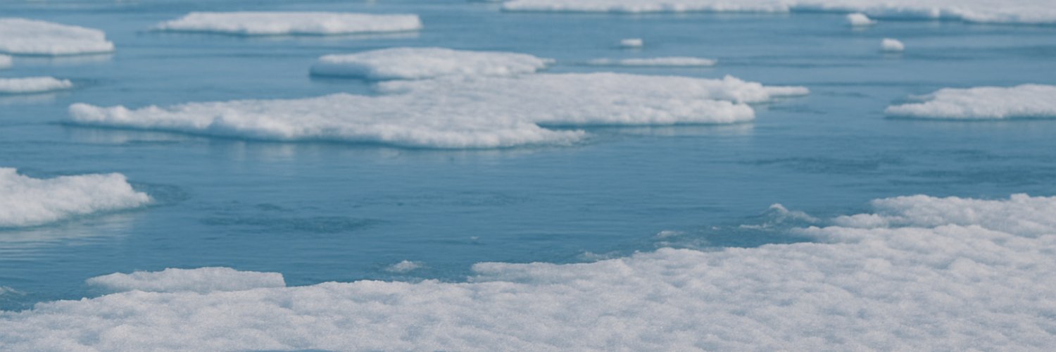 SnowFltj's profile banner image