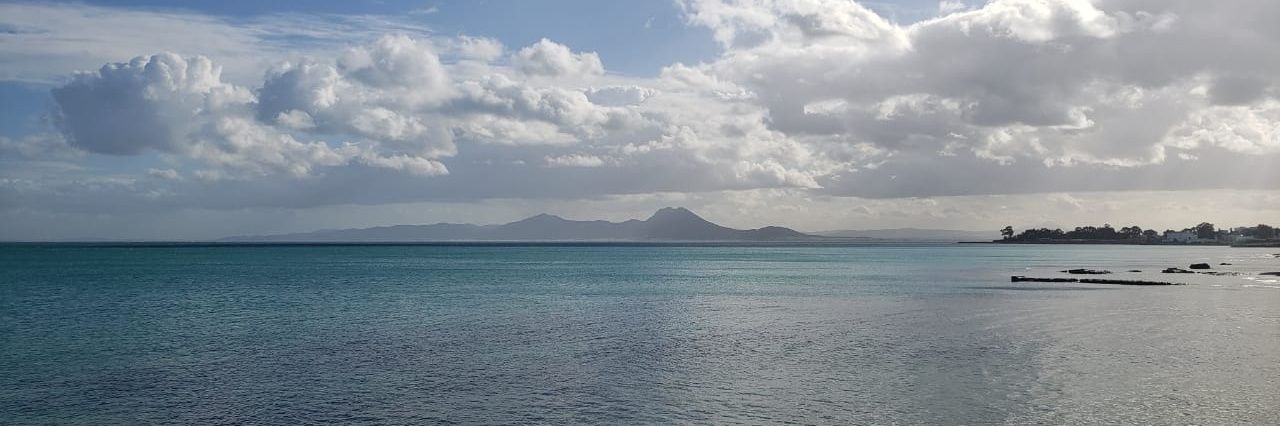 Joselynchc's profile banner image