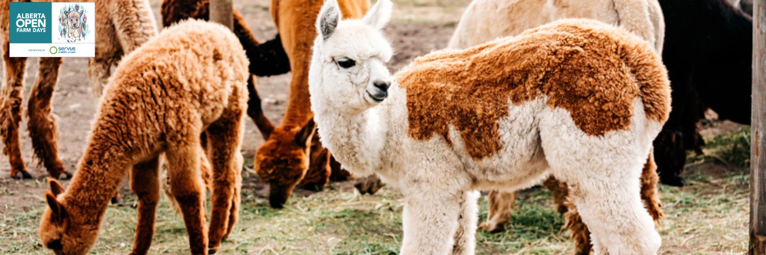 Open Farm Days banner