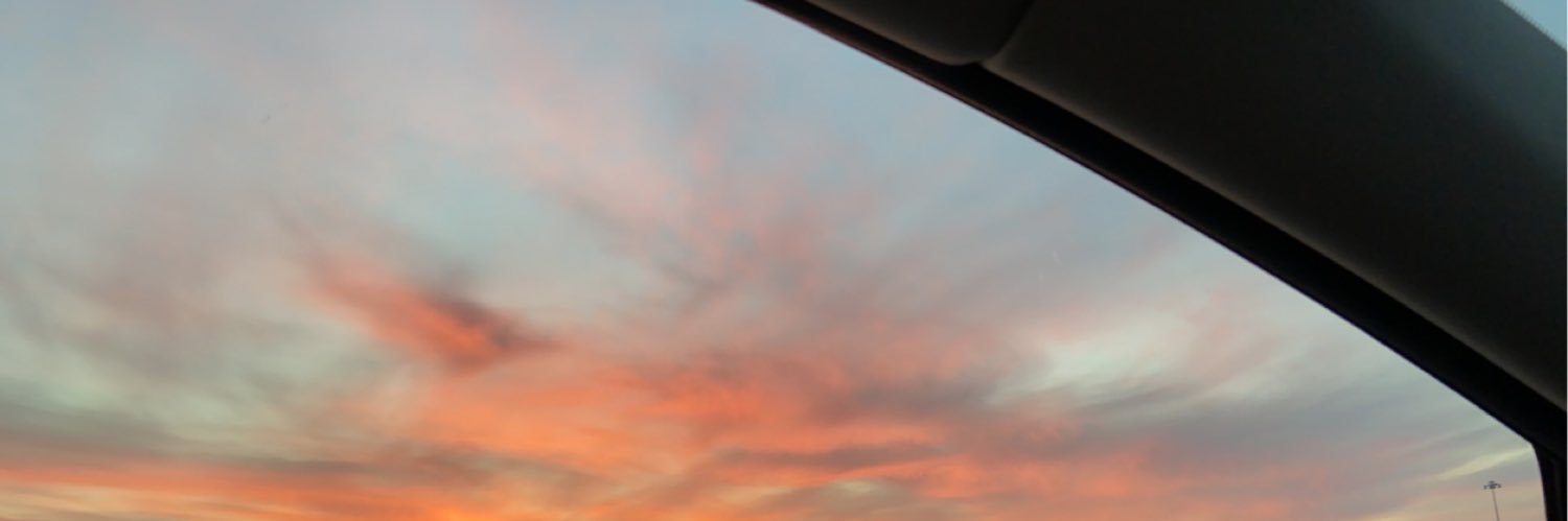 dulciemarks's profile banner image