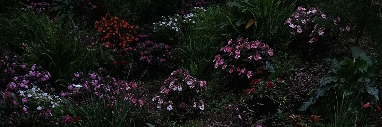 aleobre_'s profile banner image