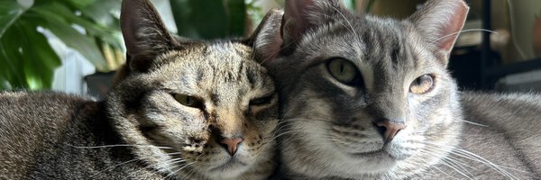 rltey Profile Banner