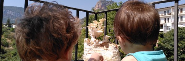 BoletsPeratxa Profile Banner