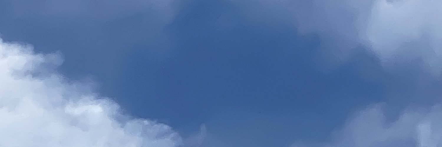mpeanutn's profile banner image