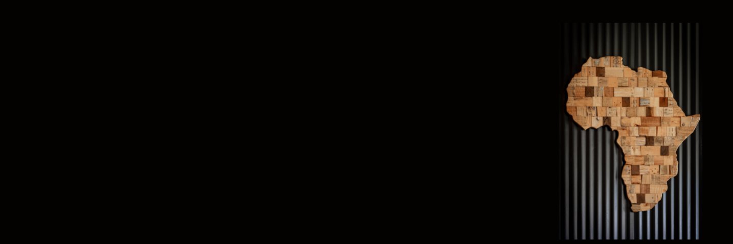 South Africa Centre for Evidence NPC banner