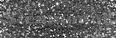dreamsequins's profile banner image