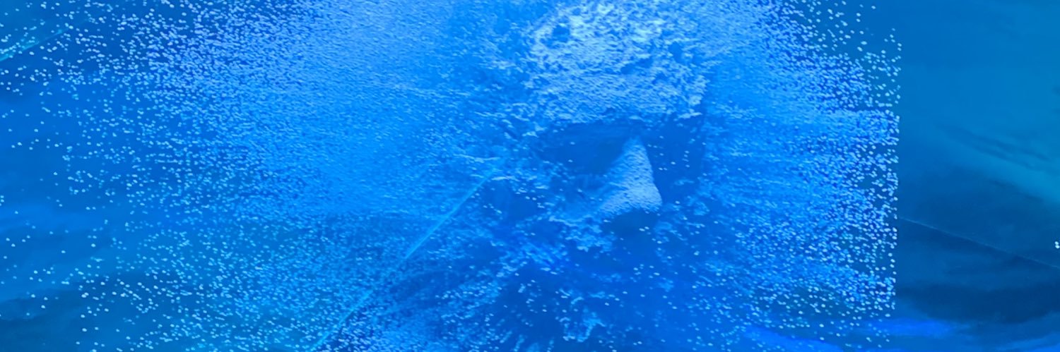 vicarvlh's profile banner image