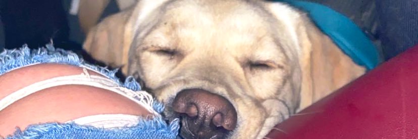 baileyyyatwood's profile banner image