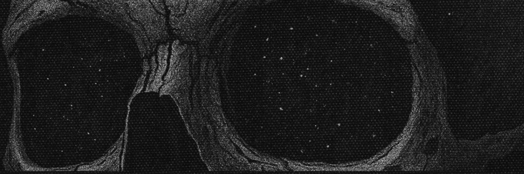 Field of swords banner